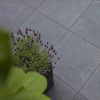 GeoCeramica Impasto Negro