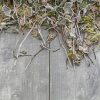 GeoCeramica Timber Grigio