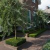 Waaltjes Clayville Rotterdam