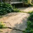 Grote natuurstenen tuintegel op zonnig patio, omringd door weelderige groene borderplanten in warm middaglicht.
