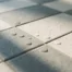 Matte keramische terrastegels in betongrijs en gebroken wit met fijne voegen, waterdruppels op het glazuuroppervlak in zijdelings daglicht.